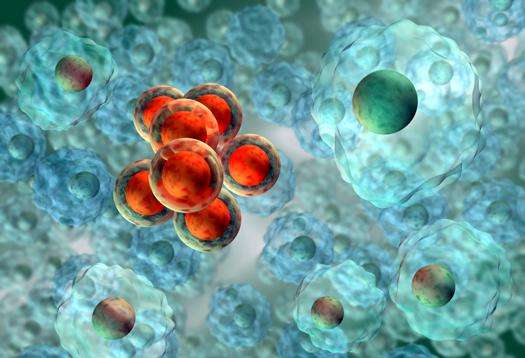 ����ϸ����ת���о����Ե�ר��2018�����Ŀ�걨ָ��